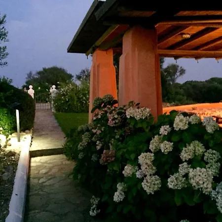 Country Village